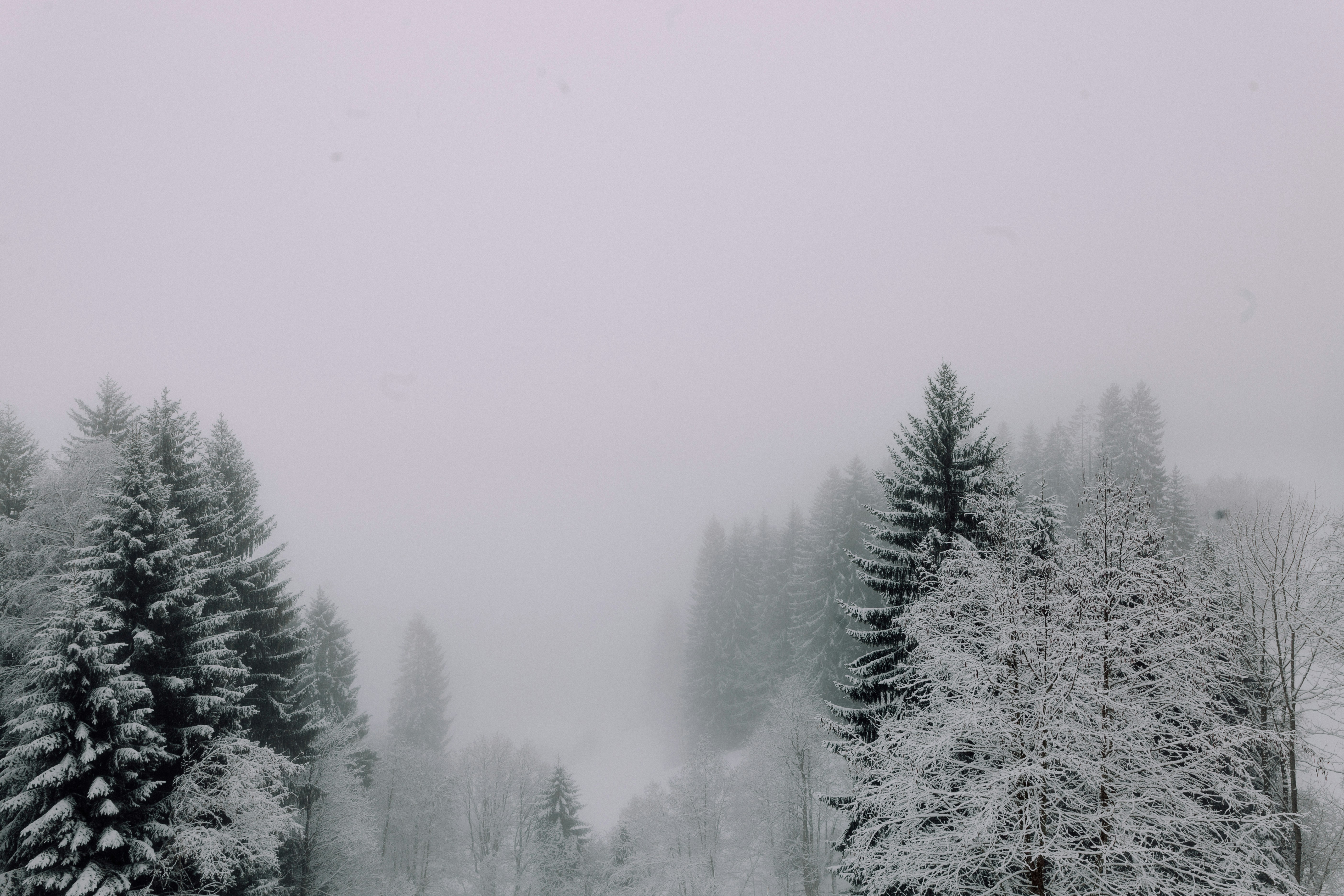 Photo by adrian_infernus