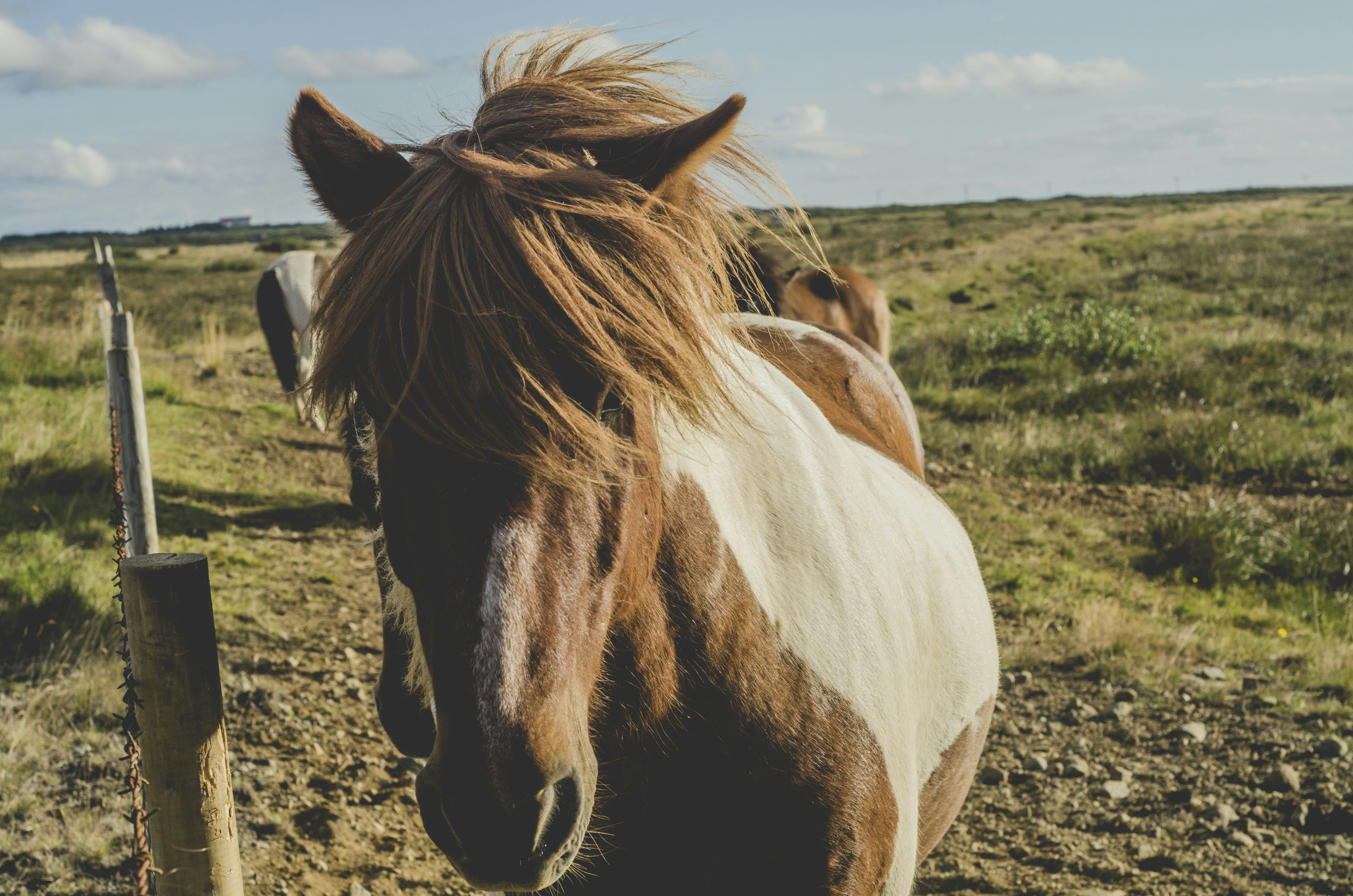 Photo by sergiferrete