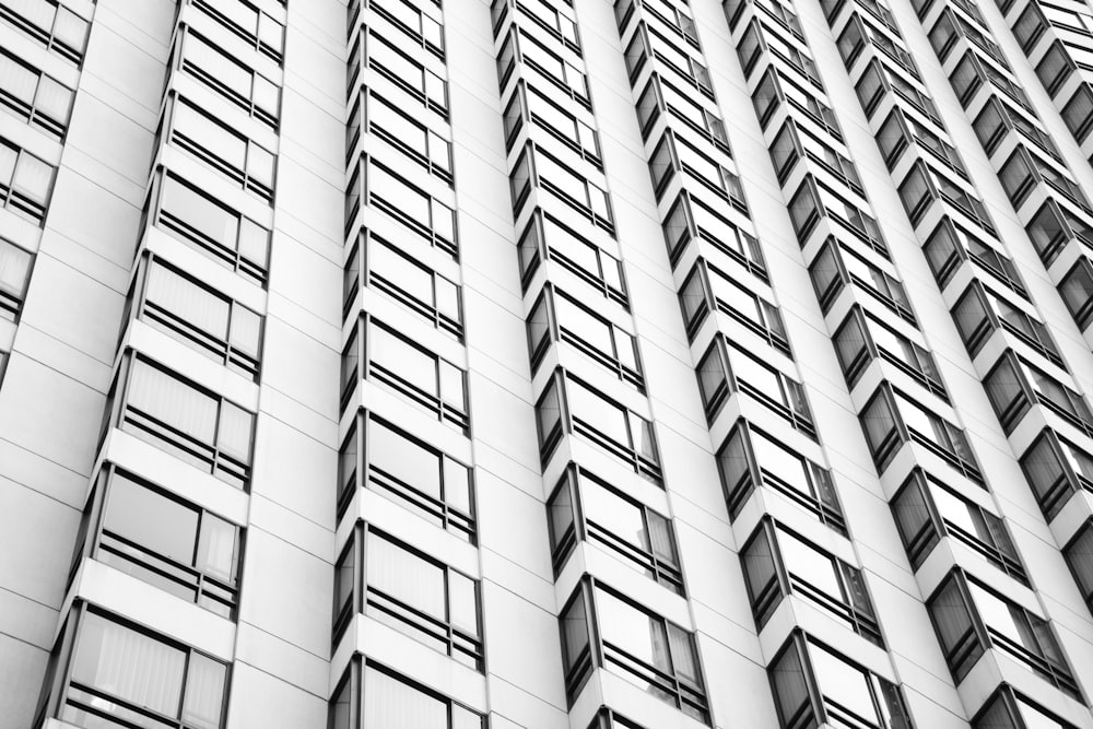 minimalist photography of high-rise building