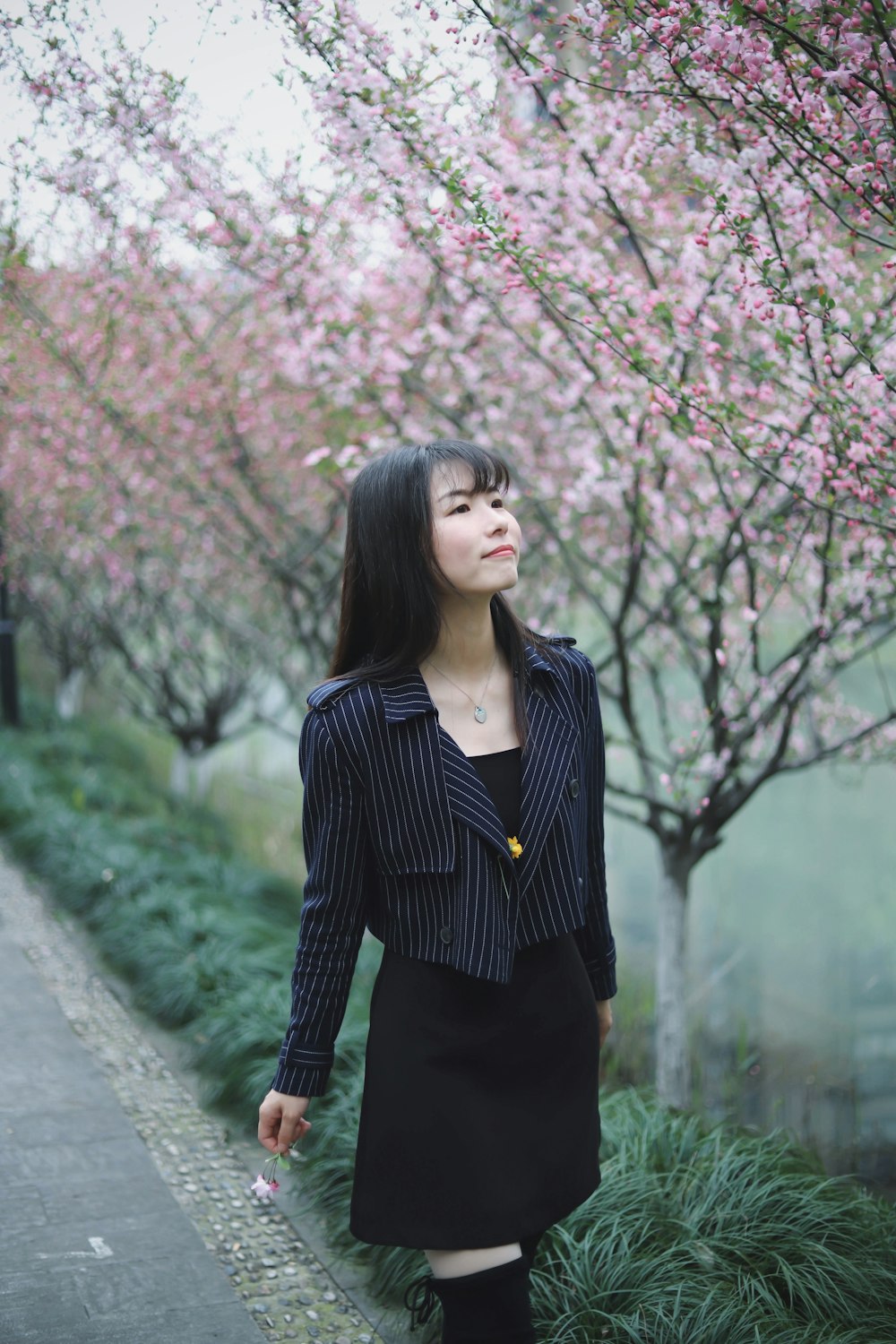 woman walking on a road with cherry blossoms