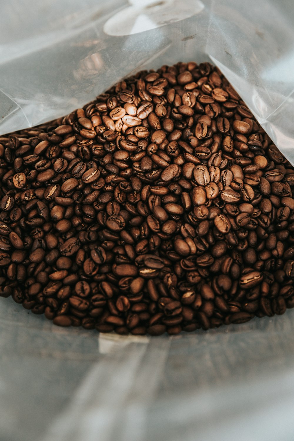 茶色のコーヒー豆