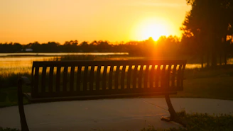 A dramatic sunset casting golden light over a quiet park bench.