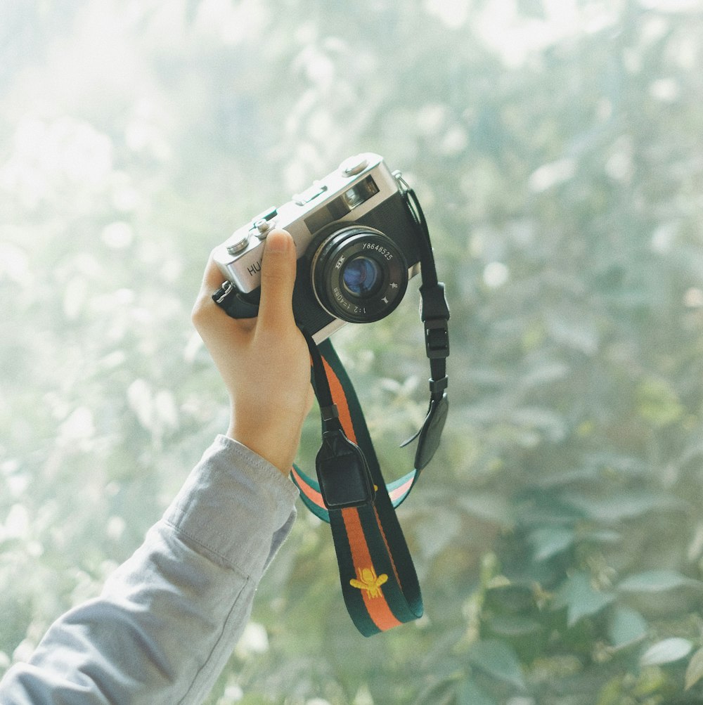person holding grey and black mirrorless camera in front of green leafed trees during daytime