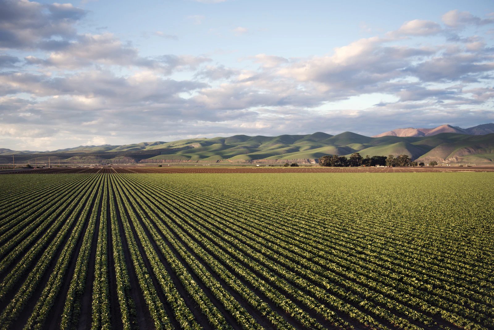 An open field with mountains on the skyline.