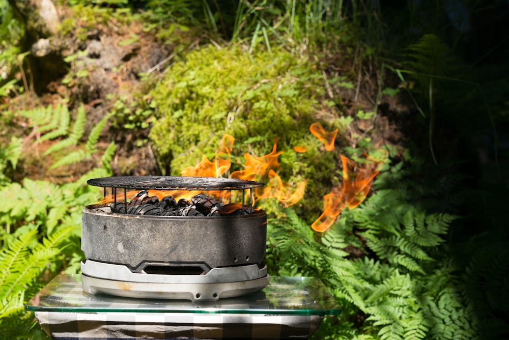 tabletop charcoal grill surrounded by plants