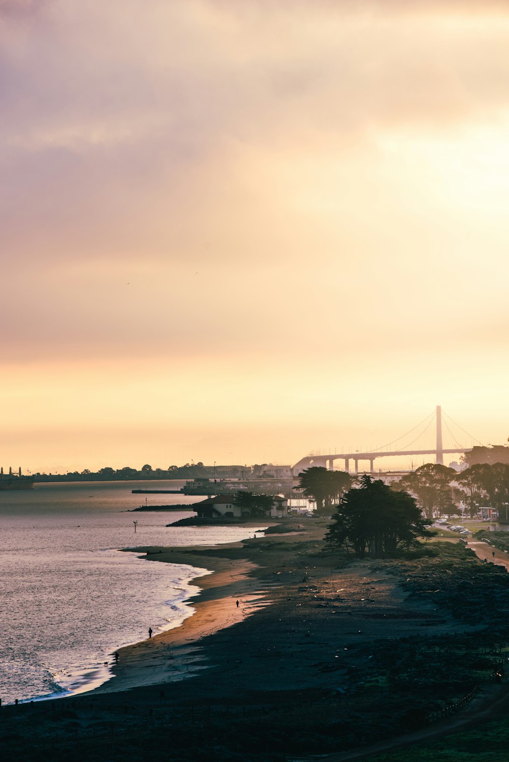 seashore during daytime