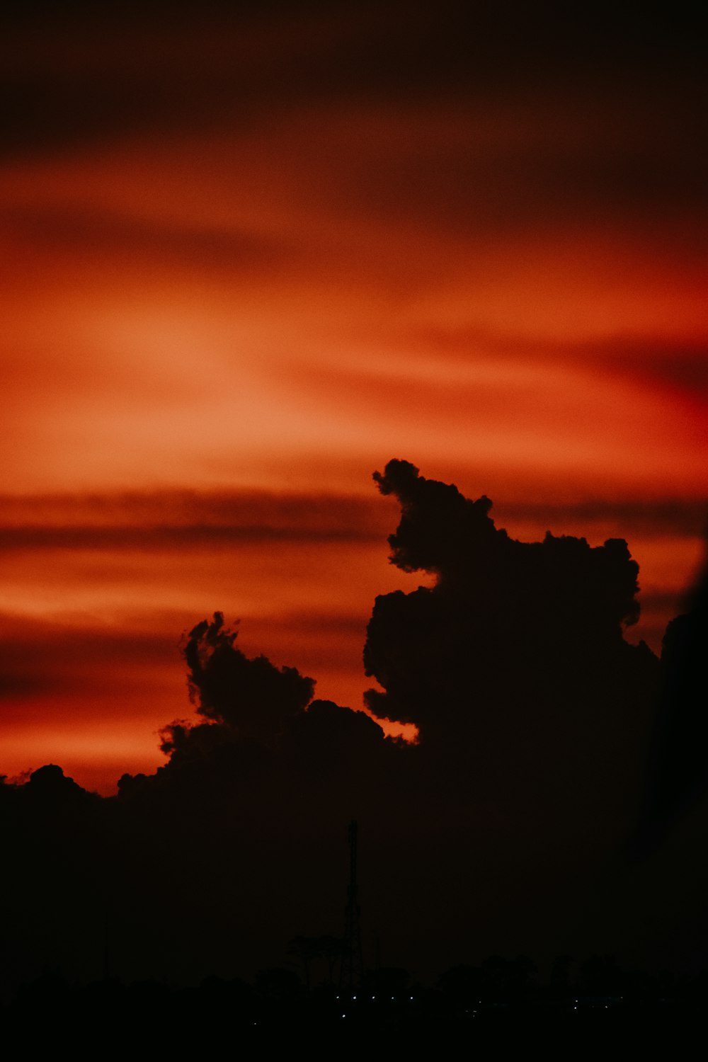 silhouette dell'albero all'ora d'oro