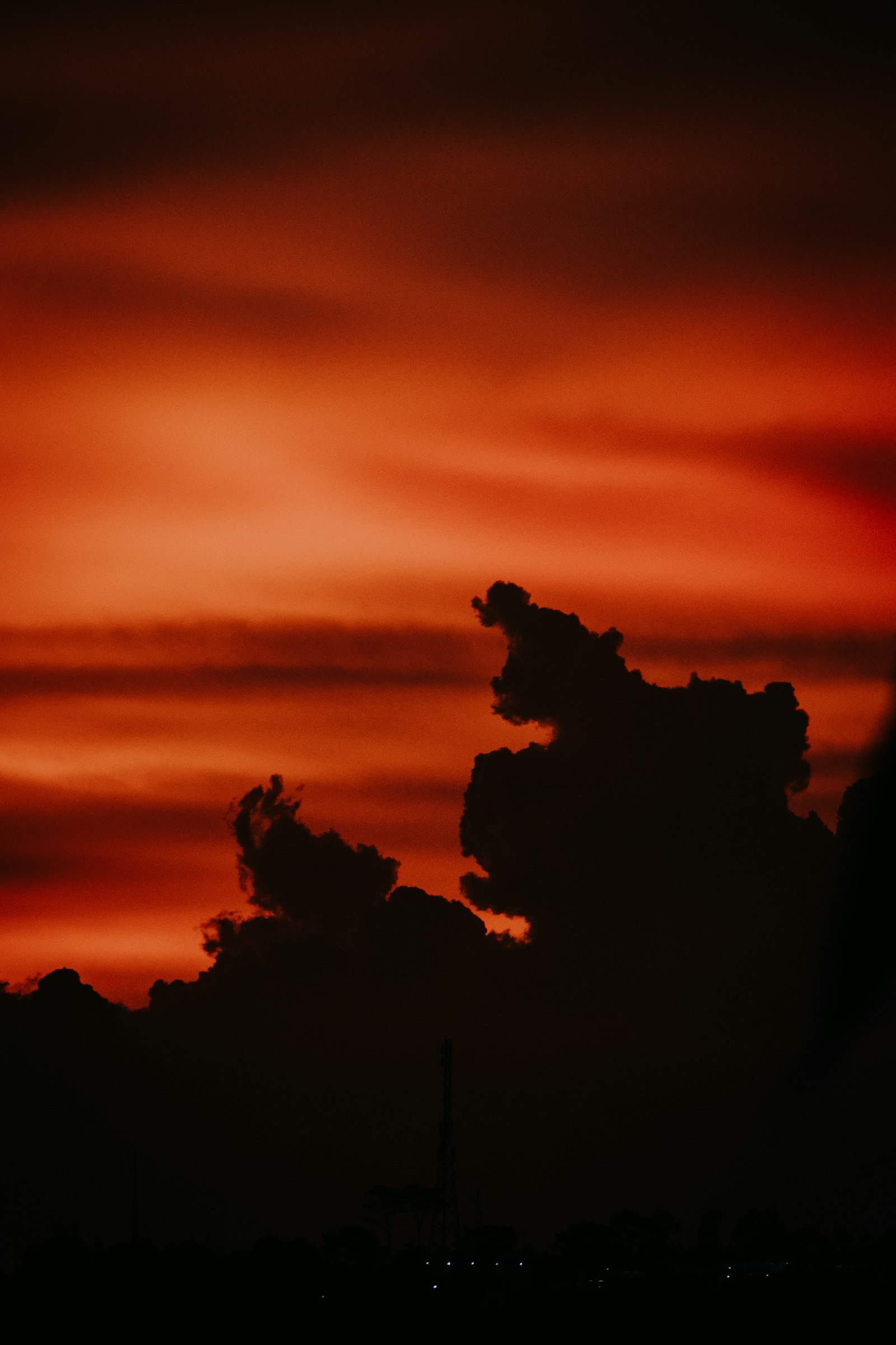 Fujifilm X-E1 + Fujifilm XC 50-230mm F4.5-6.7 OIS II sample photo. Tree silhouette at golden photography