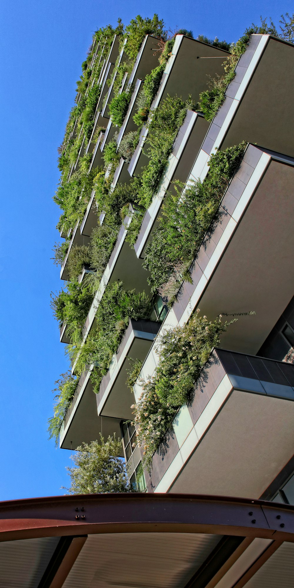 edificio dipinto di bianco e marrone durante il giorno