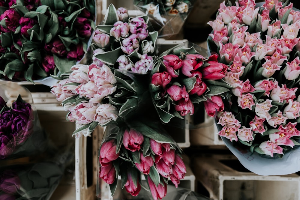 pink and purple tulips on display