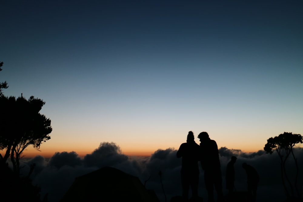 silhouette of two person near tree