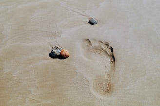 footprint on sands of time