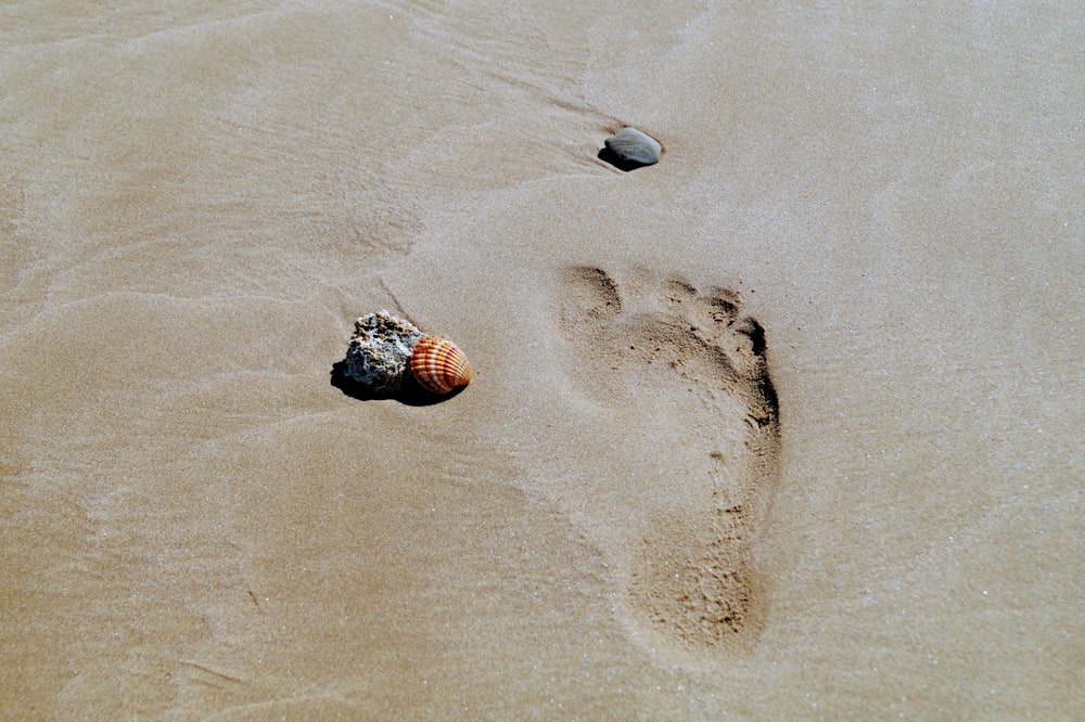 footprint on sand