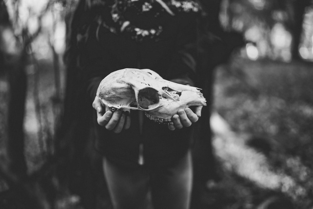 Fotografía en escala de grises de una persona que sostiene el cráneo de un animal