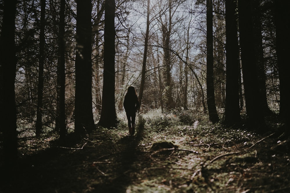 silhouette photo of person standing on forest