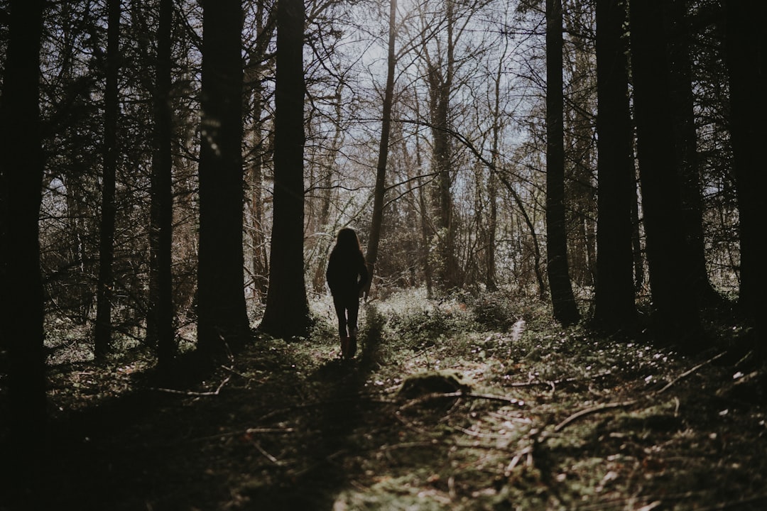 silhouette photo of person standing on forest