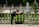 Smiling middle-aged woman stretching outdoors in a Bronx park.