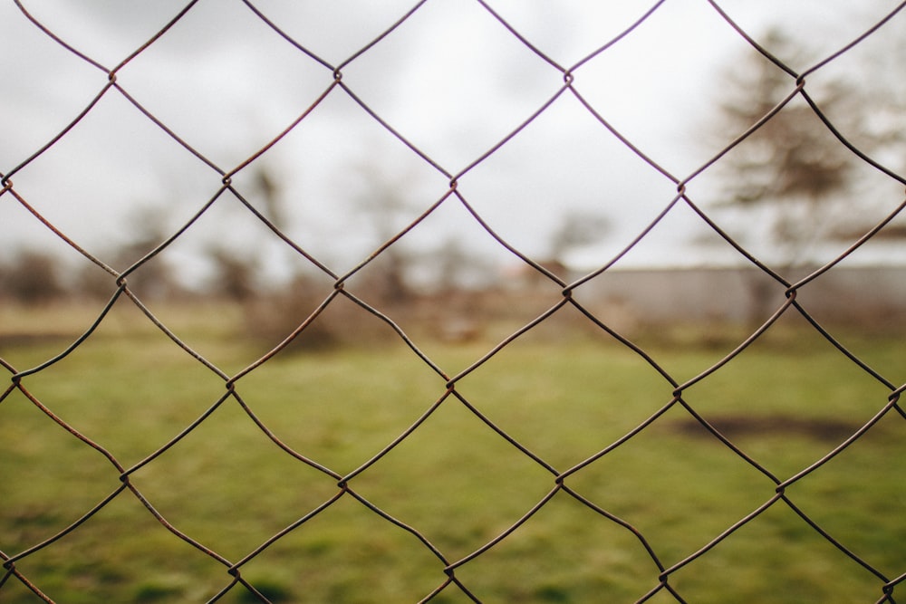 cyclone fence over lawn