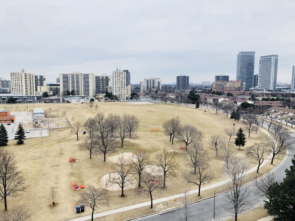 aerial view of trees and grass field during day time