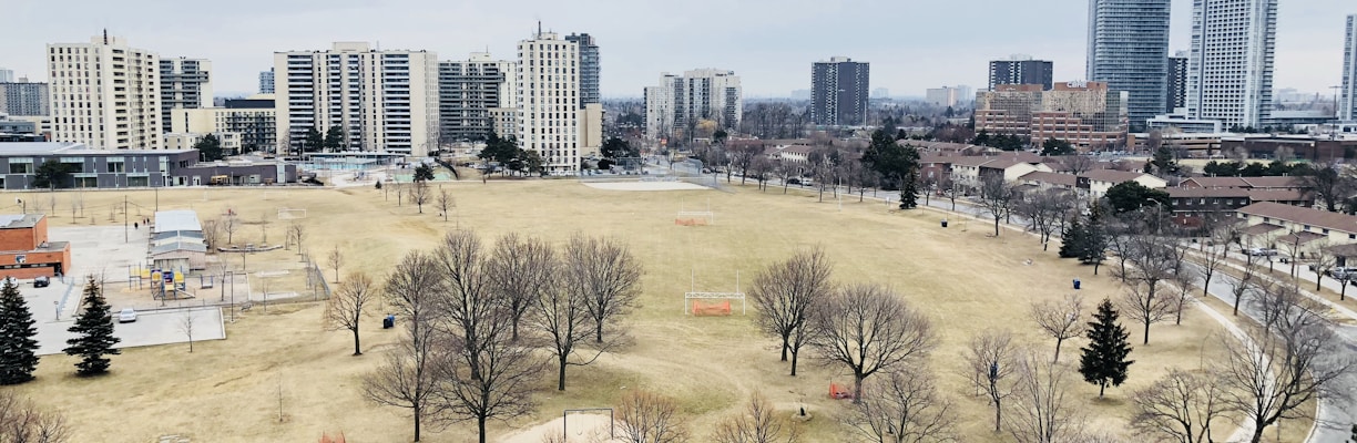 aerial view of trees and grass field during day time