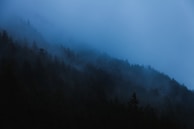 An atmospheric fog effect adding depth to a fantasy landscape.