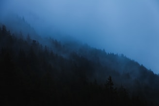 An atmospheric fog effect adding depth to a fantasy landscape.