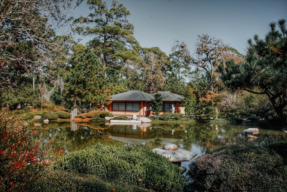 house between trees near body of water at daytime