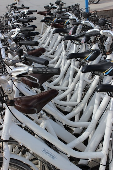 A group of white bicycles arranged in a row, each equipped with black handle grips and baskets. Most seats are brown, and the bikes have a modern design with a clean, organized appearance.