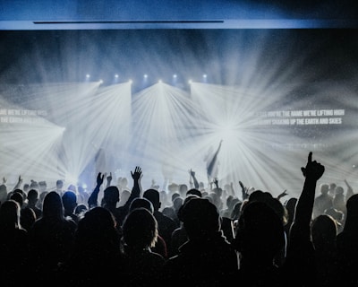 group of people watching concert