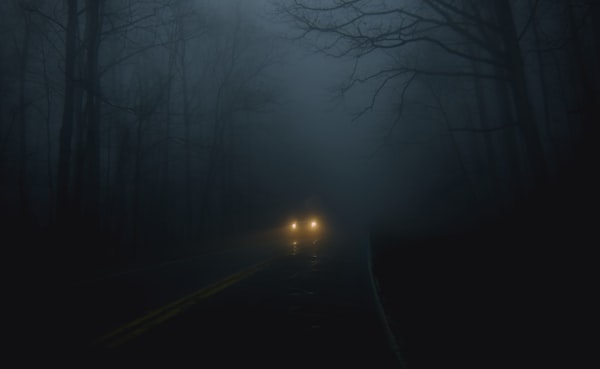 Un véhicule sur une route sombre entre les arbres