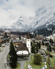 aerial view of village