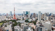 A detailed coloring page preview showing Tokyo Tower with the penguins exploring.