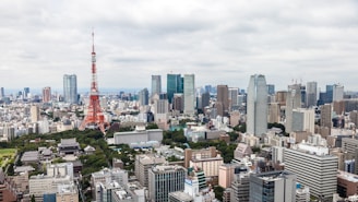 A vast urban cityscape featuring numerous skyscrapers and the prominent red and white structure of Tokyo Tower. The skyline is densely packed with a mix of modern high-rise buildings and older structures. Green spaces are visible, providing contrast to the urban environment. The sky is overcast, adding a muted tone to the scene.