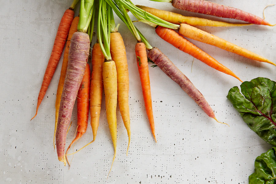 Freshly harvested vegetables in a field