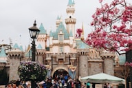 people walking near Disney Castle at daytime