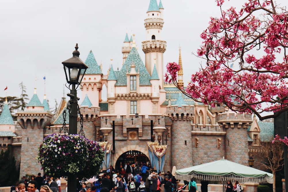 persone che camminano vicino al Castello Disney durante il giorno