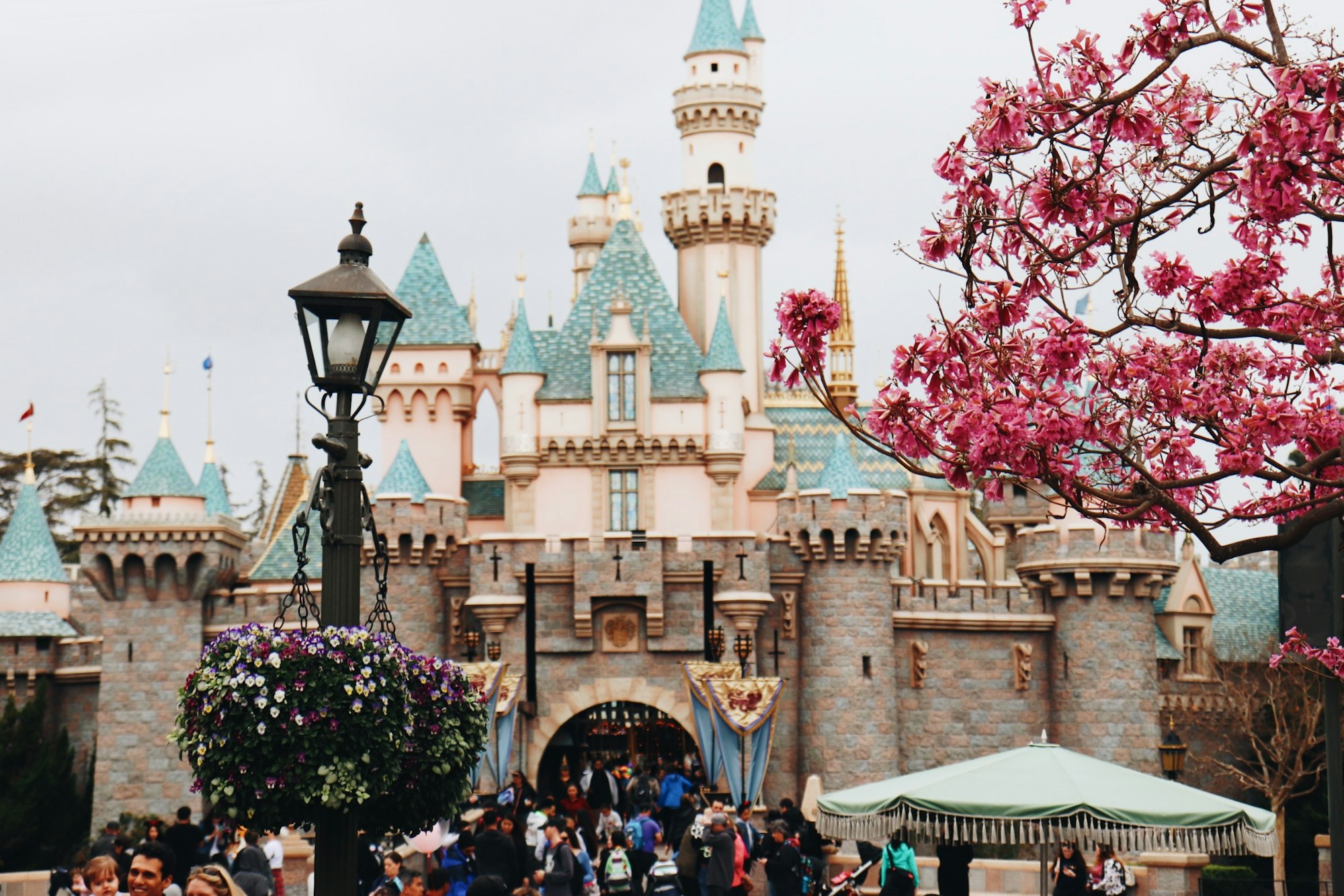 Sleeping Beauty Castle