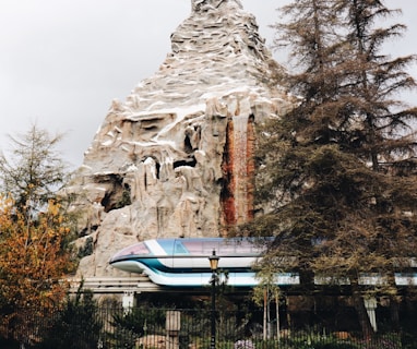 blue and white train beside brown rock mountain and pine trees