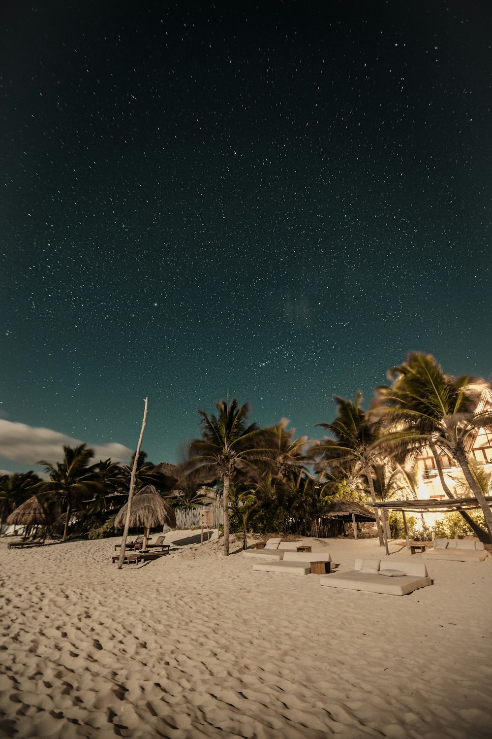 orilla del mar y palmeras bajo el cielo estrellado