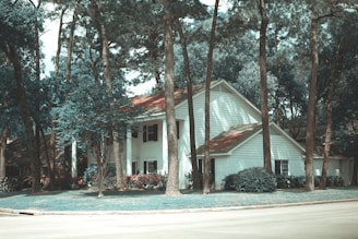 A white two-story house with a red roof, surrounded by tall pine trees. The house is situated in a quiet suburban area, and there is a well-maintained lawn and landscaping with bushes and small trees around it.
