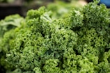 macro shot photography of lettuce