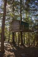 A sunlit treehouse nestled among tall oaks with a rope ladder hanging down.