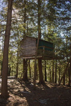 A sunlit treehouse nestled among tall oaks with a rope ladder hanging down.