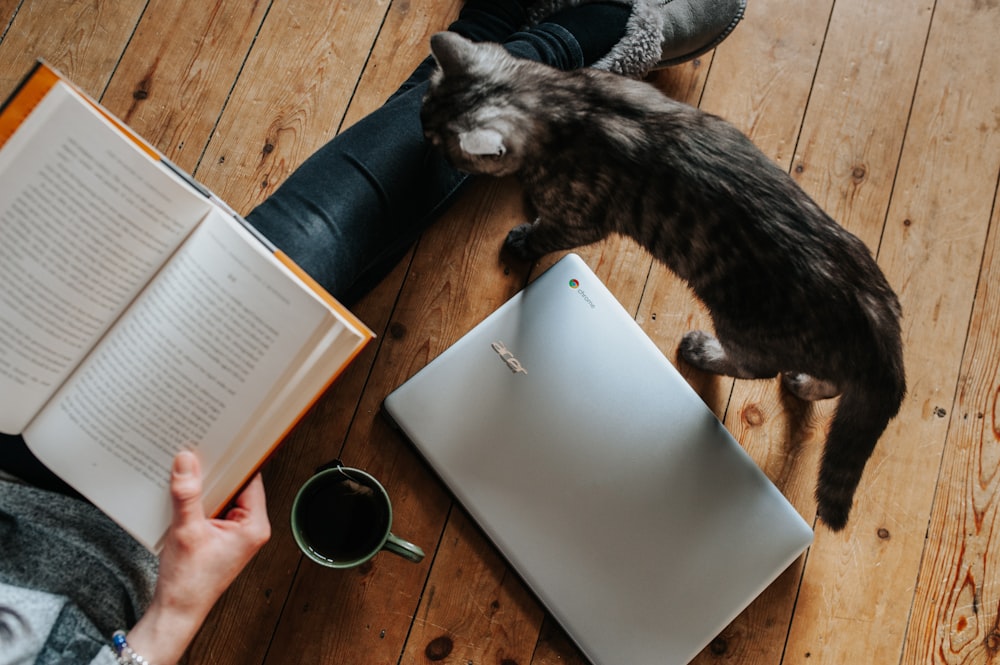 Katze, die durch Laptop-Computer in der Nähe von Frau geht, die Buch liest, weiß auf dem Boden liegt