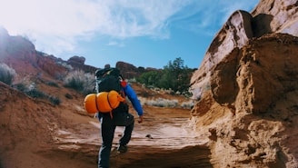 person climbing on rock