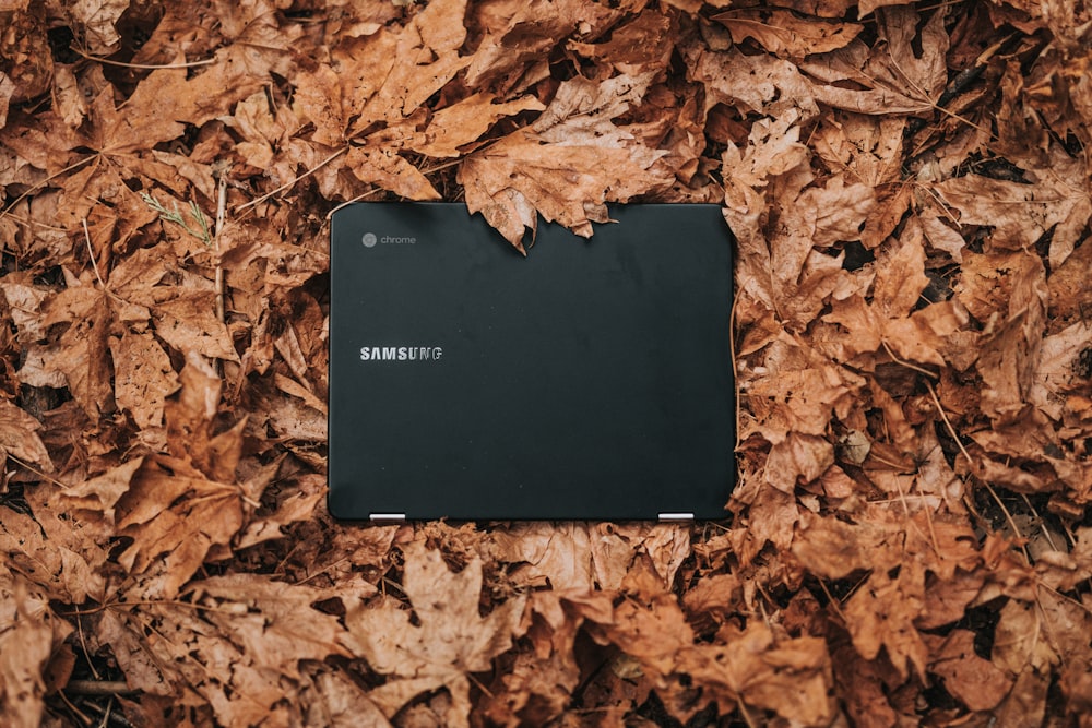 Chromebook Samsung preto cercado por folhas secas