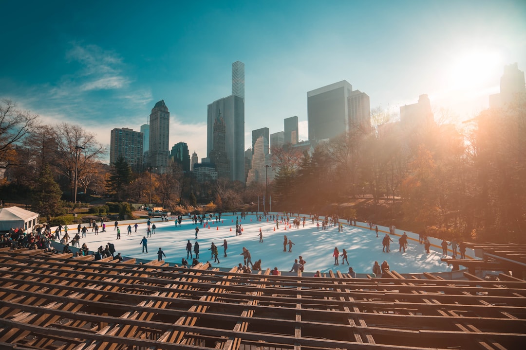 people ice skating in the park at daytime,