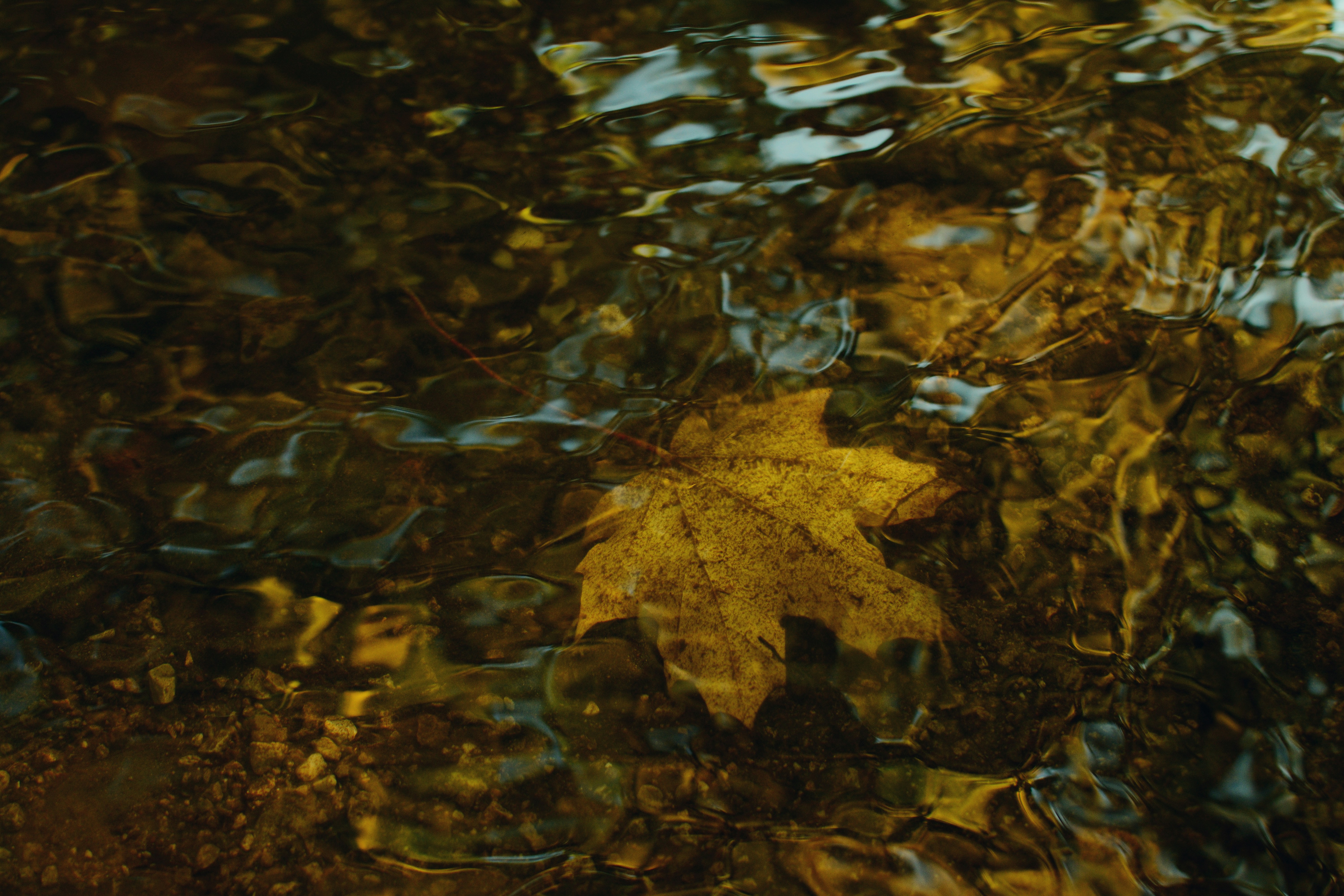 Photo by georgmierau