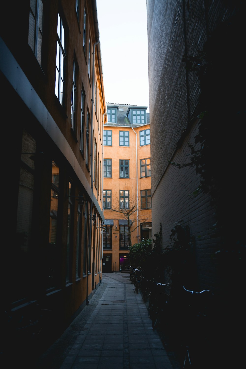 gray concrete pathway in between high-rise buildings