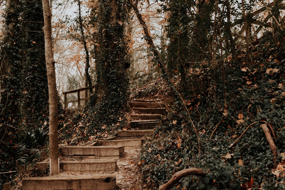 gray concrete stairs